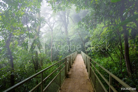Picture of Skywalk cloudforest Costa Rica